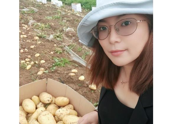 一個(gè)月銷售500噸，惠農(nóng)代賣幫助新手夫婦將土豆賣向全國